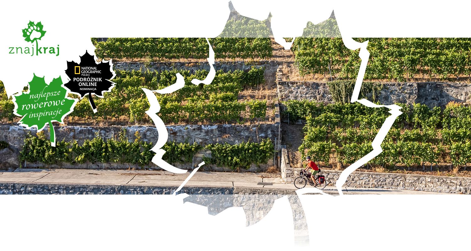 Droga rowerowa przez winnice nad Jeziorem Genewskim