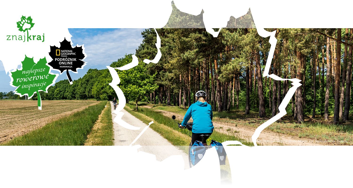 Droga rowerowa Ryszarda Szurkowskiego w stronę Milicza