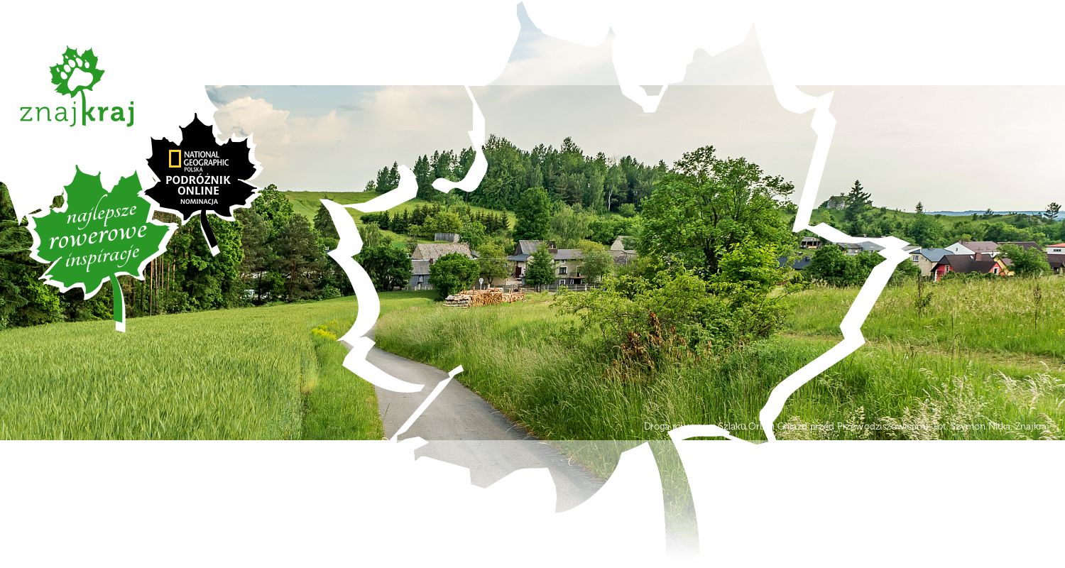 Droga rowerowa Szlaku Orlich Gniazd przed Przewodziszowicami