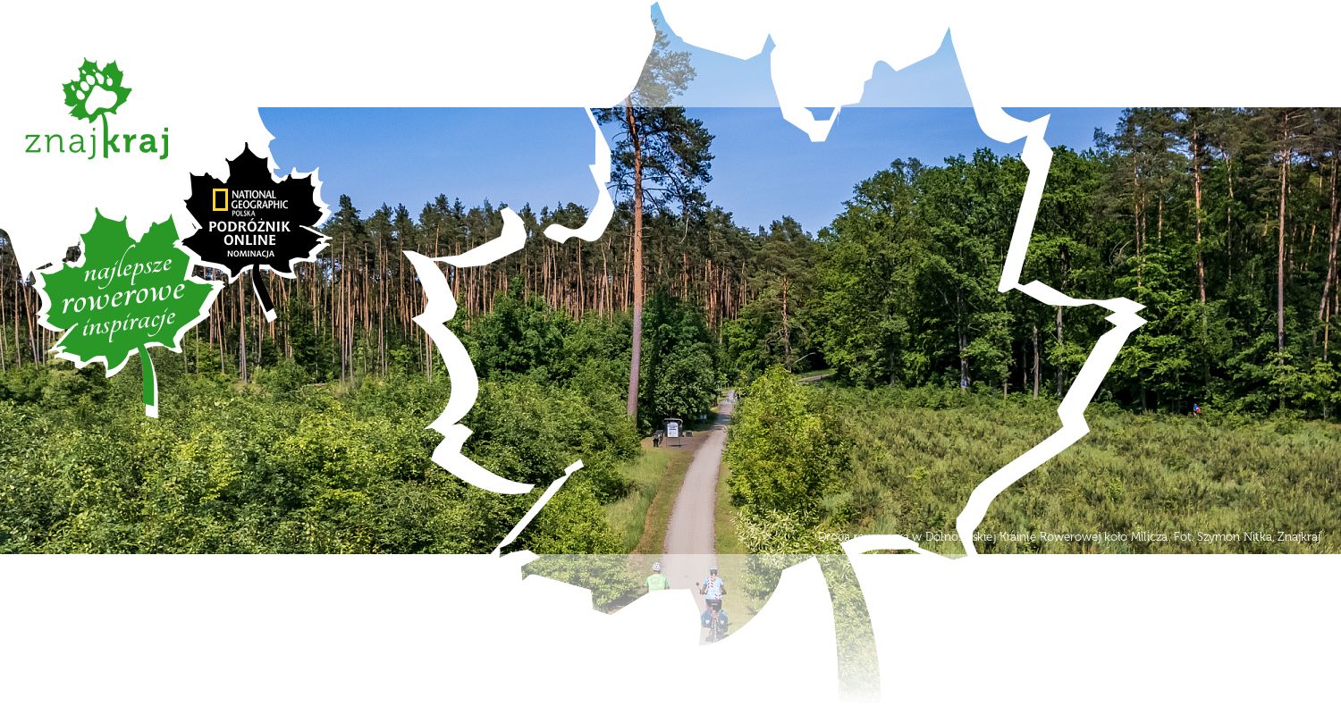 Droga rowerowa w Dolnośląskiej Krainie Rowerowej koło Milicza