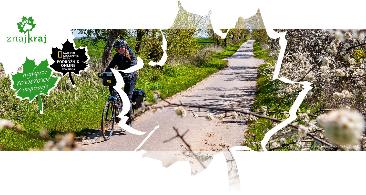 Droga rowerowa w północnych Niemczech