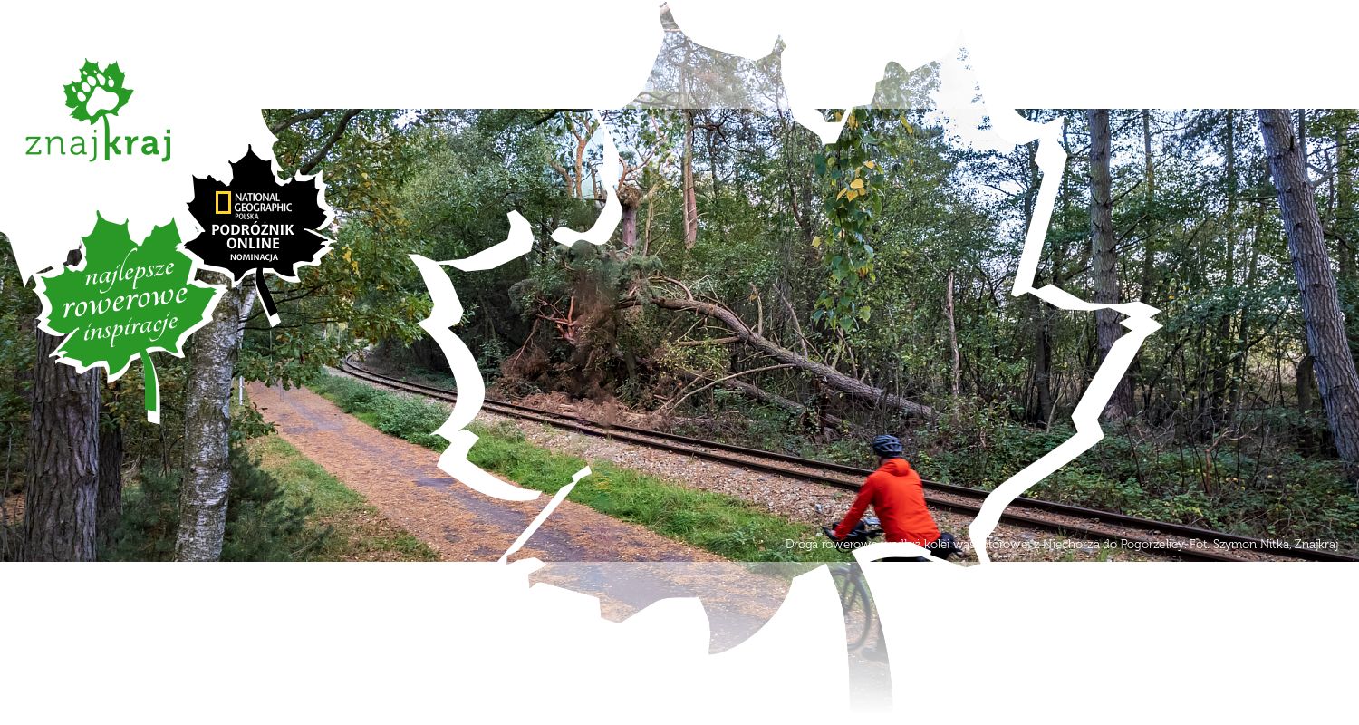 Droga rowerowa wzdłuż kolei wąskotorowej z Niechorza do Pogorzelicy
