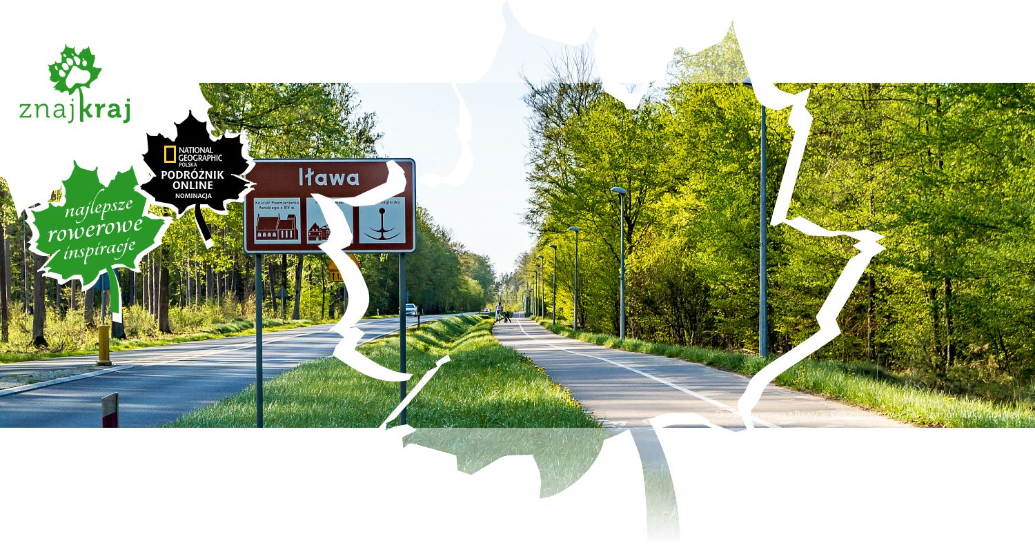 Droga rowerowa z Iławy w kierunku Lubawy