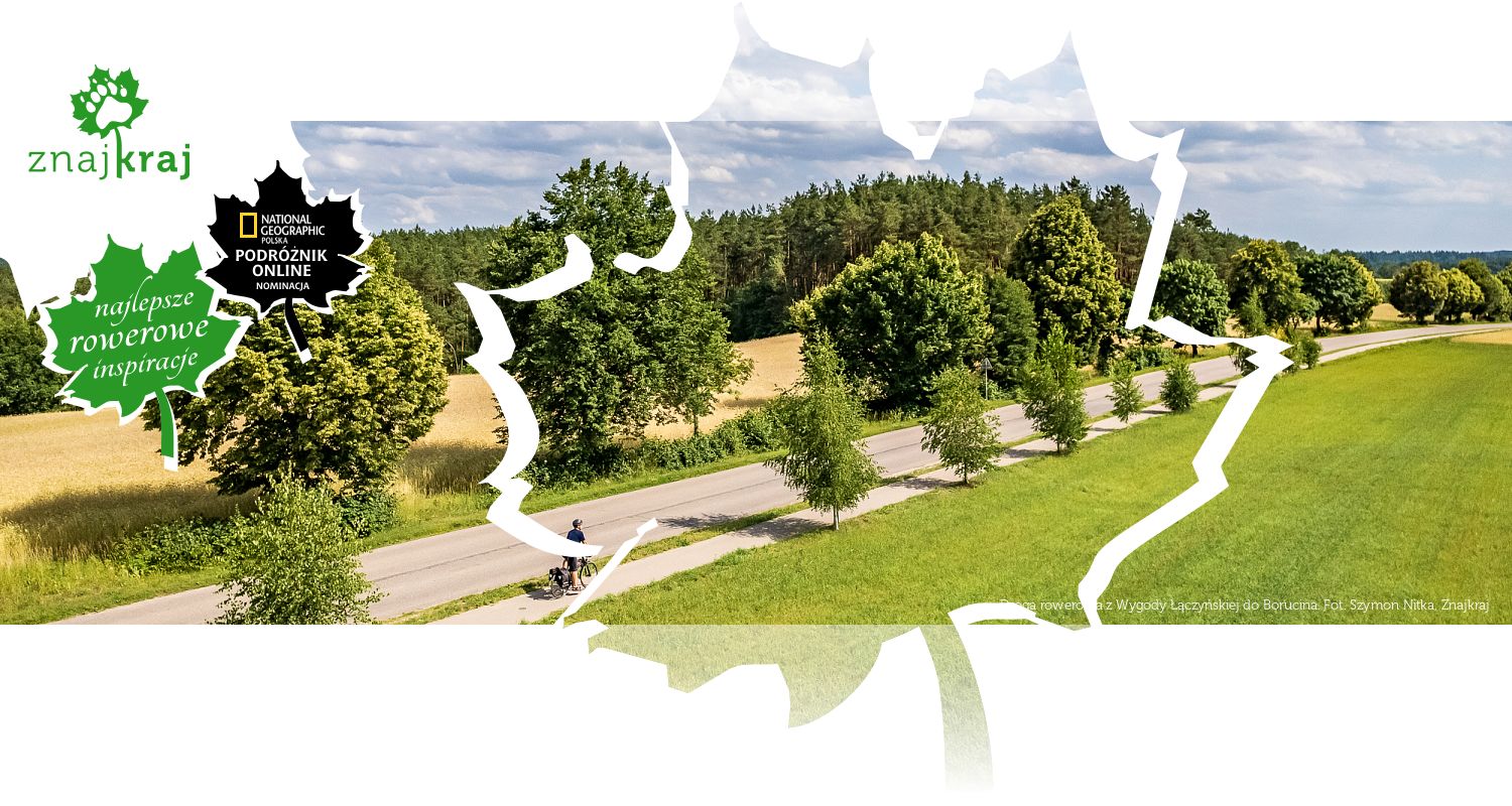 Droga rowerowa z Wygody Łączyńskiej do Borucina