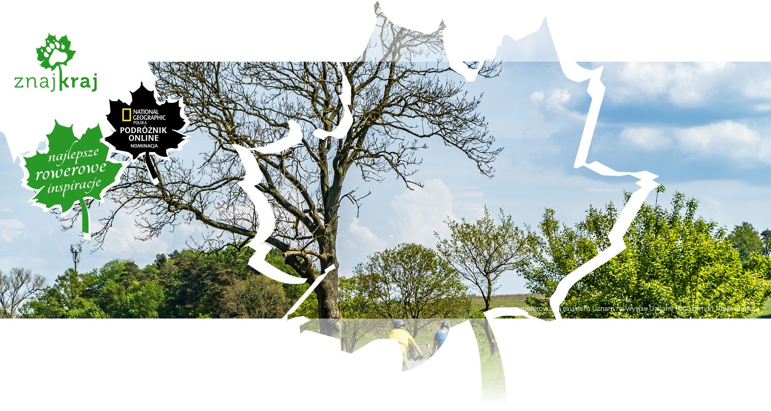 Droga rowerowa za miastem Uznam na wyspie Uznam