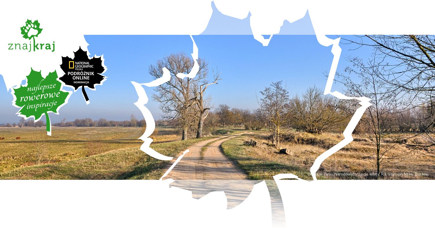 Droga w Parku Narodowym Ujście Warty