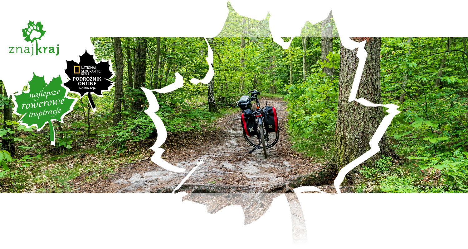 Droga z korzeniami na małopolskim Szlaku Orlich Gniazd