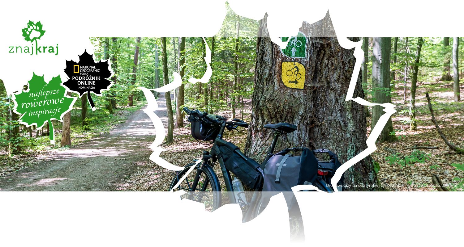 Drogowskazy na olsztyńskiej Łynostradzie