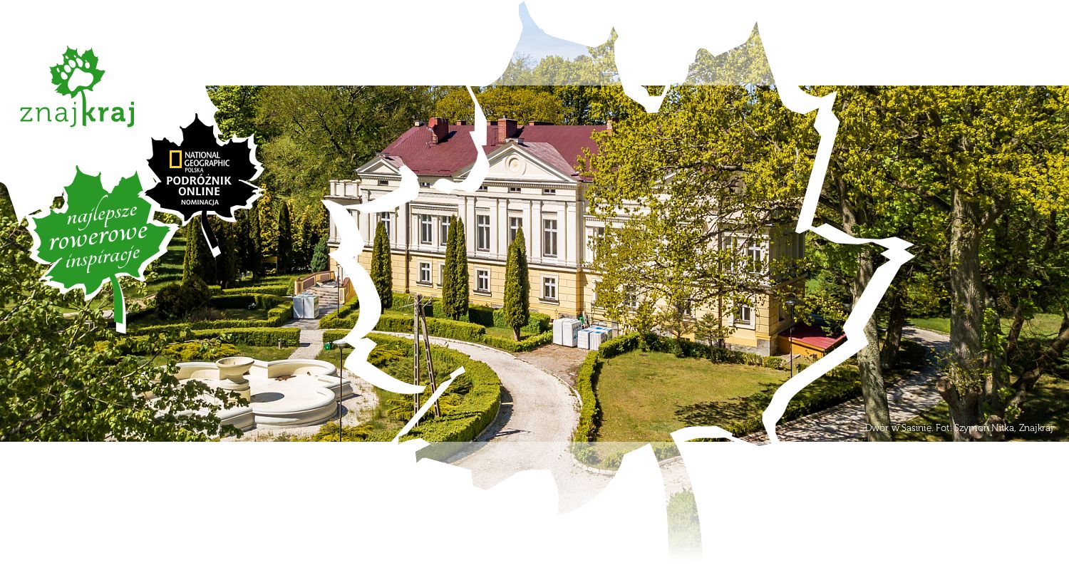 Dwór w Sasinie