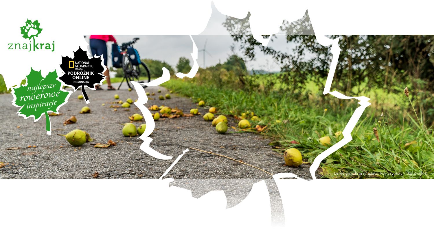 Dzikie gruszki przy szlaku