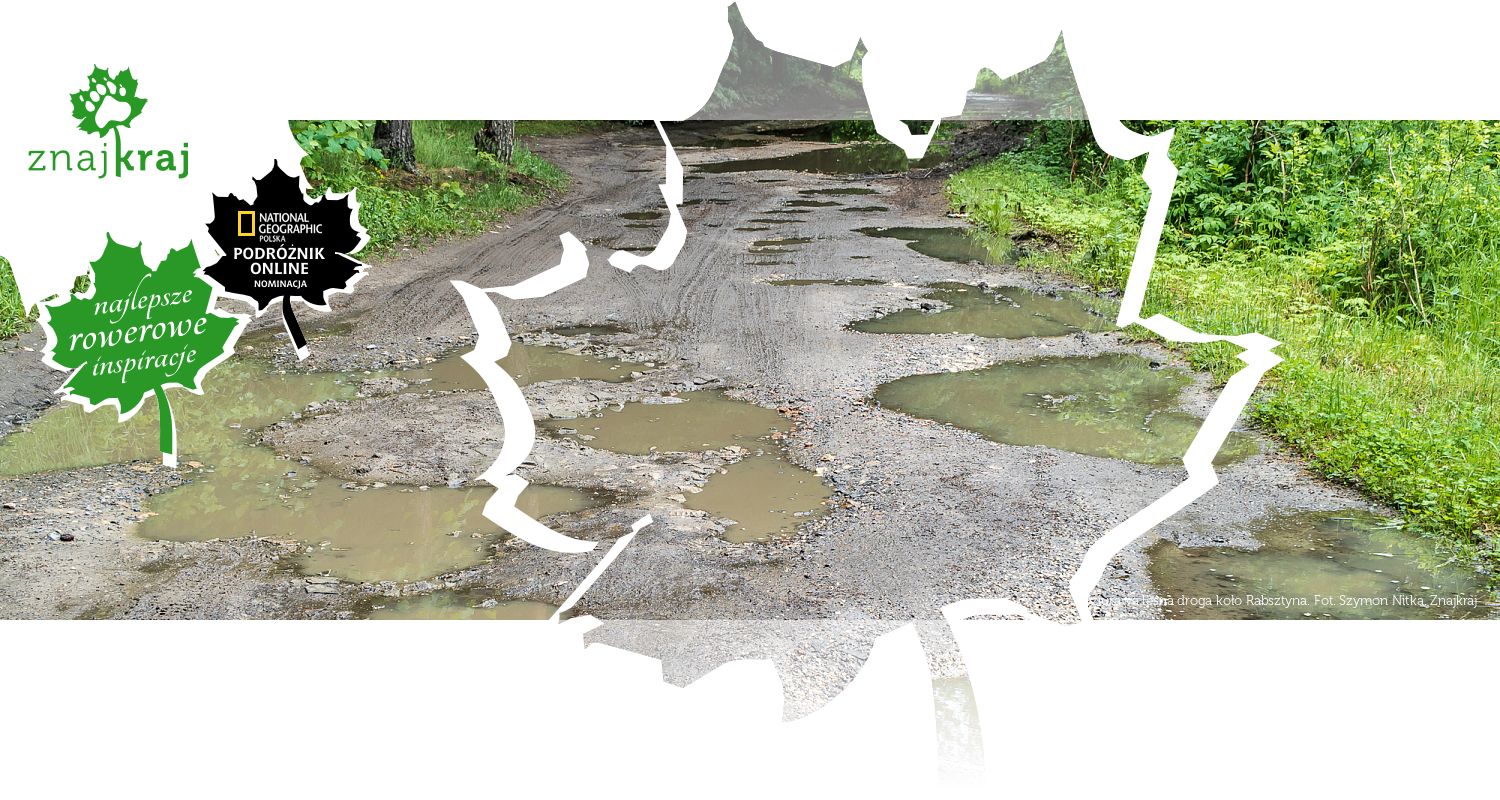 Dziurawa leśna droga koło Rabsztyna