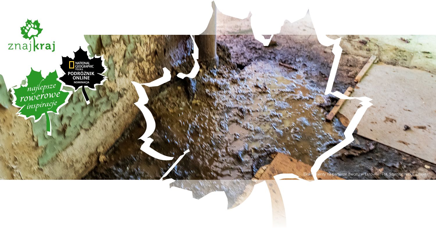 Ekskrementy na parterze dworu w Łętowie 