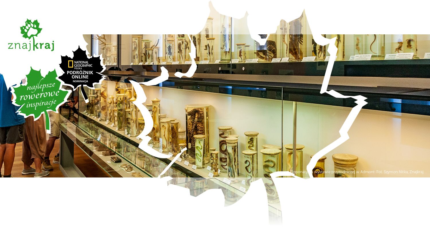Eksponaty na wystawie przyrodniczej w Admont