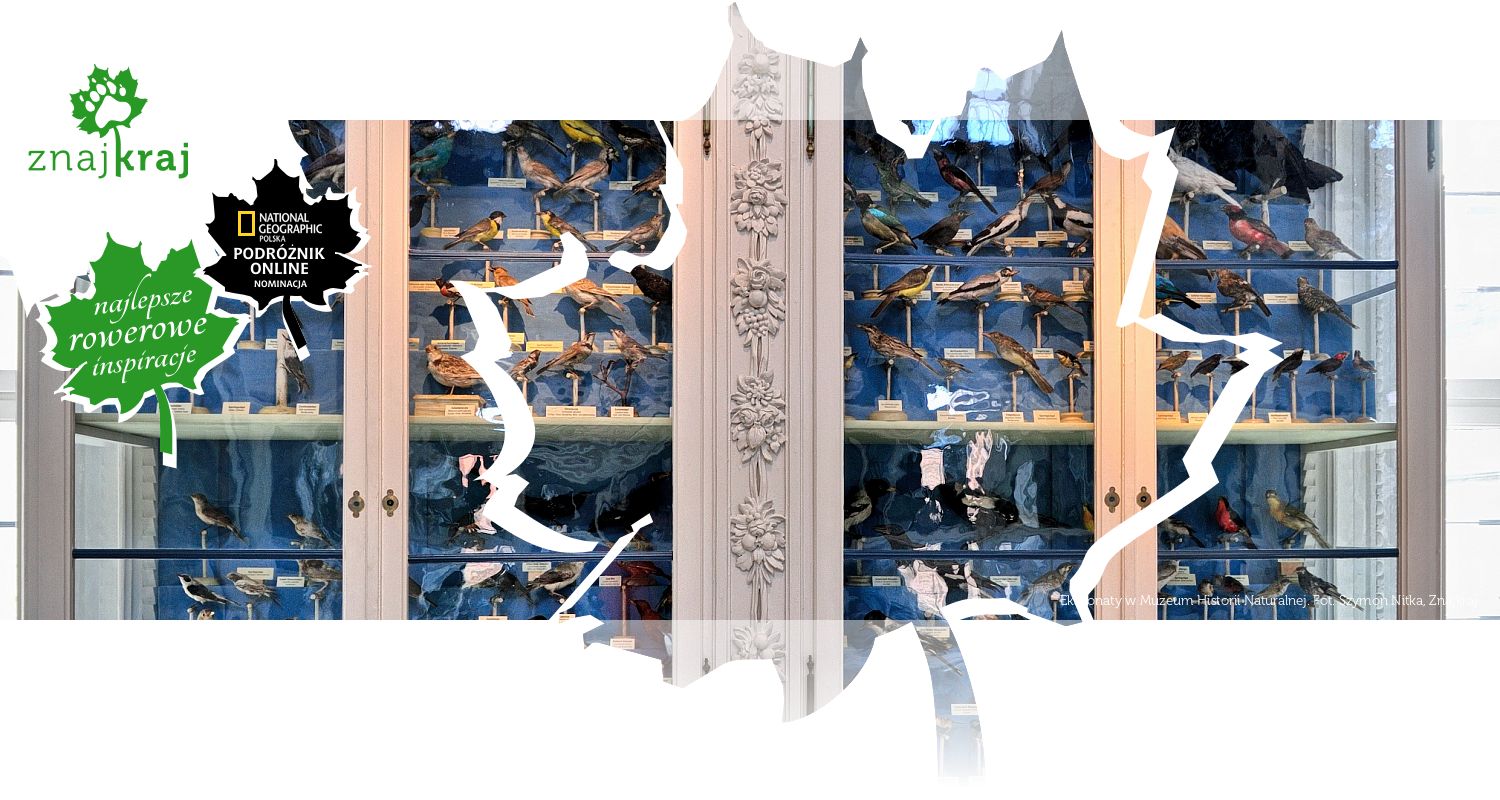 Eksponaty w Muzeum Historii Naturalnej