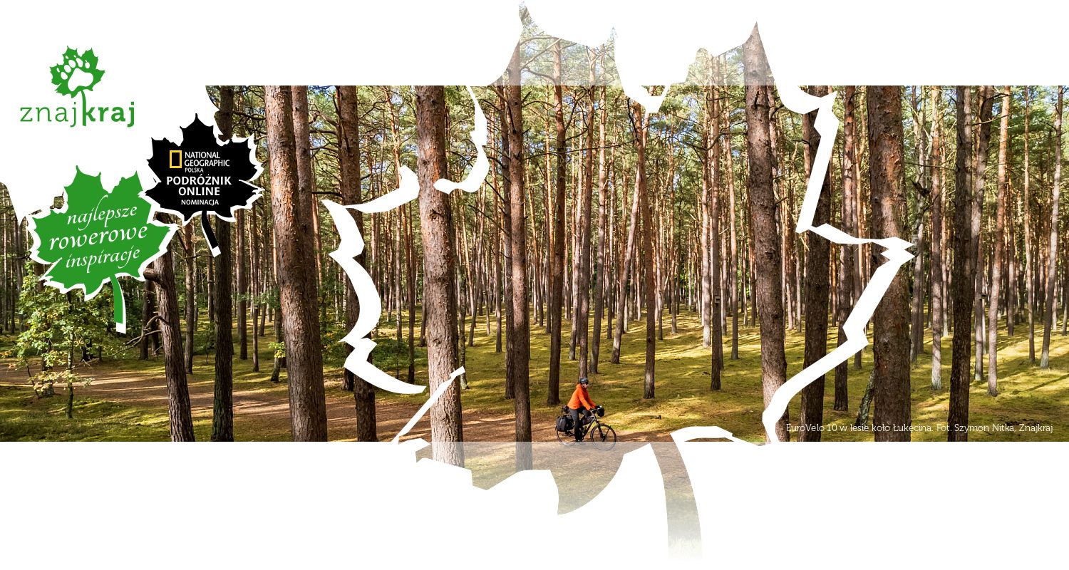 EuroVelo 10 w lesie koło Łukęcina