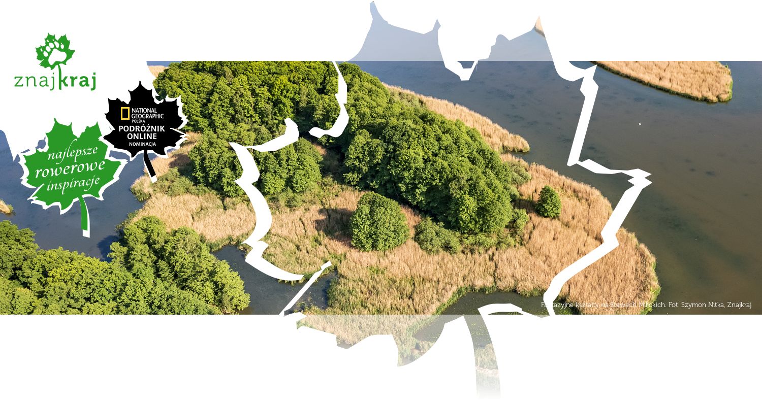 Fantazyjne kształty na Stawach Milickich