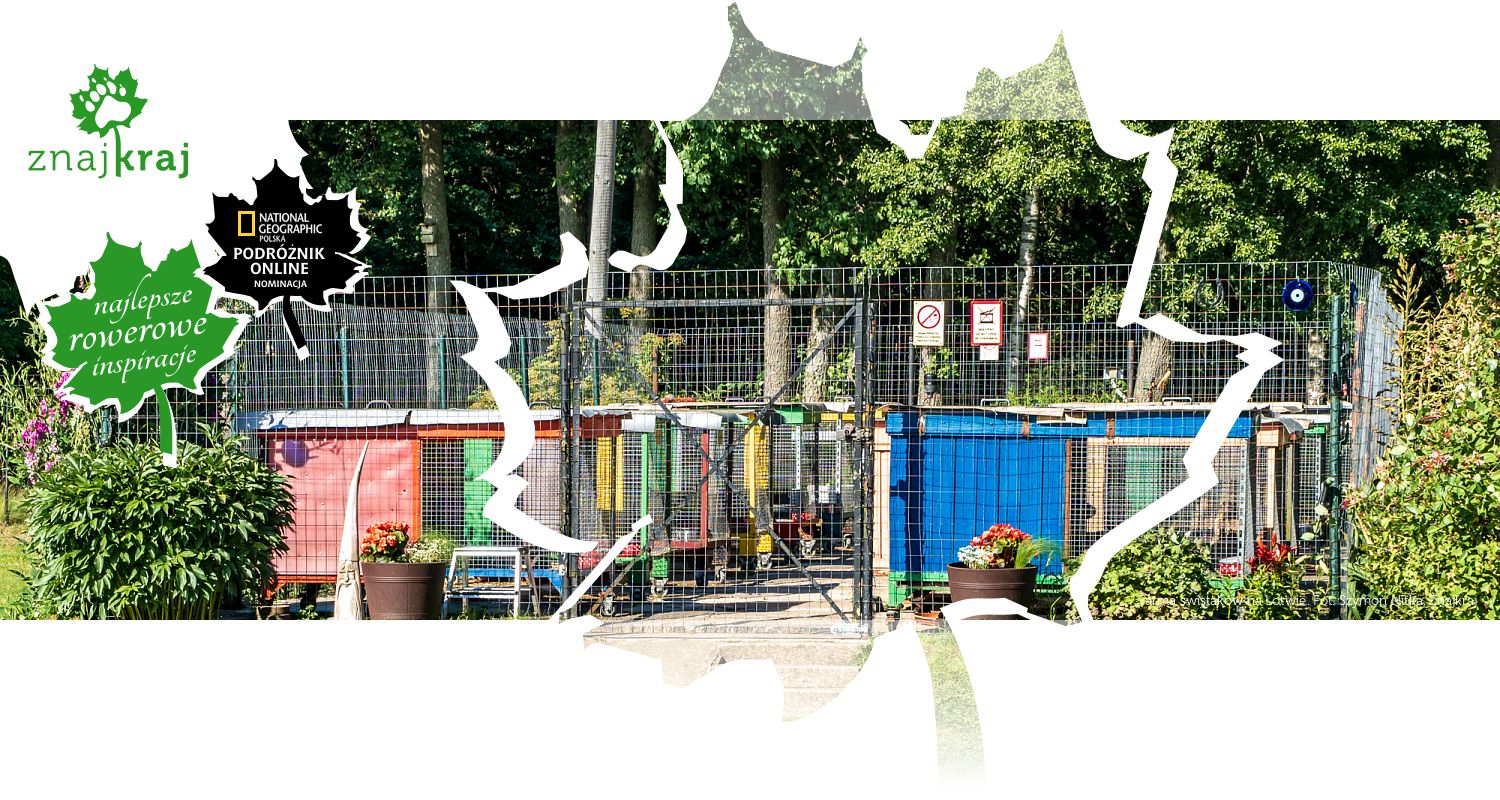 Farma świstaków na Łotwie