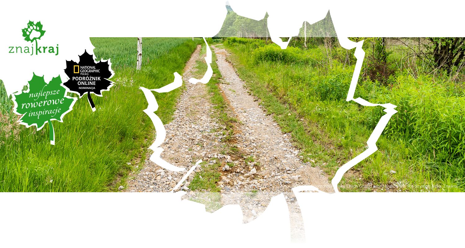 Fatalna nawierzchnia Szlaku Orlich Gniazd przed Krakowem