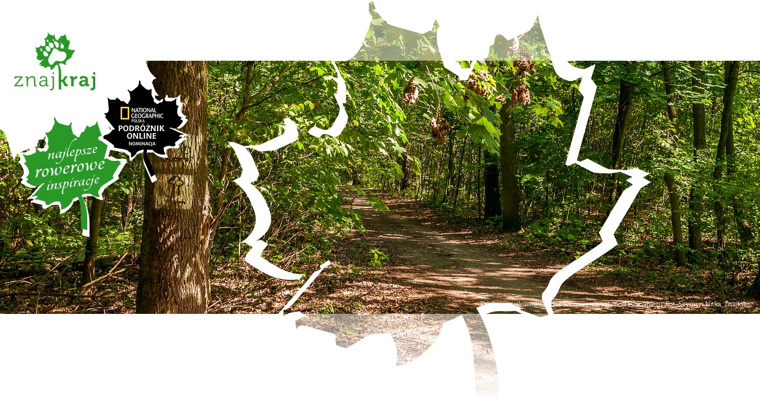 Fatalne oznakowanie szlaków rowerowych pod Poznaniem