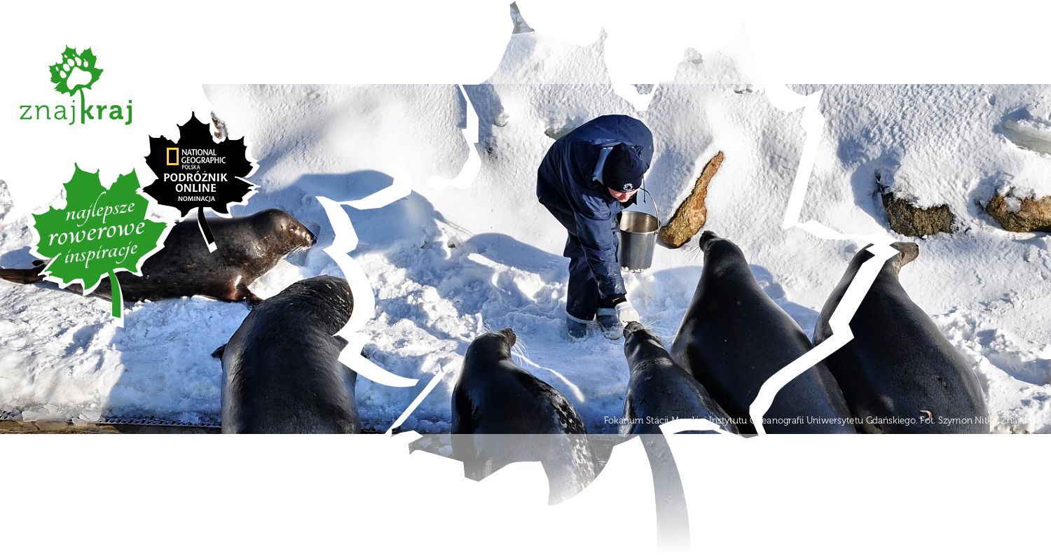 Fokarium Stacji Morskiej Instytutu Oceanografii Uniwersytetu Gdańskiego