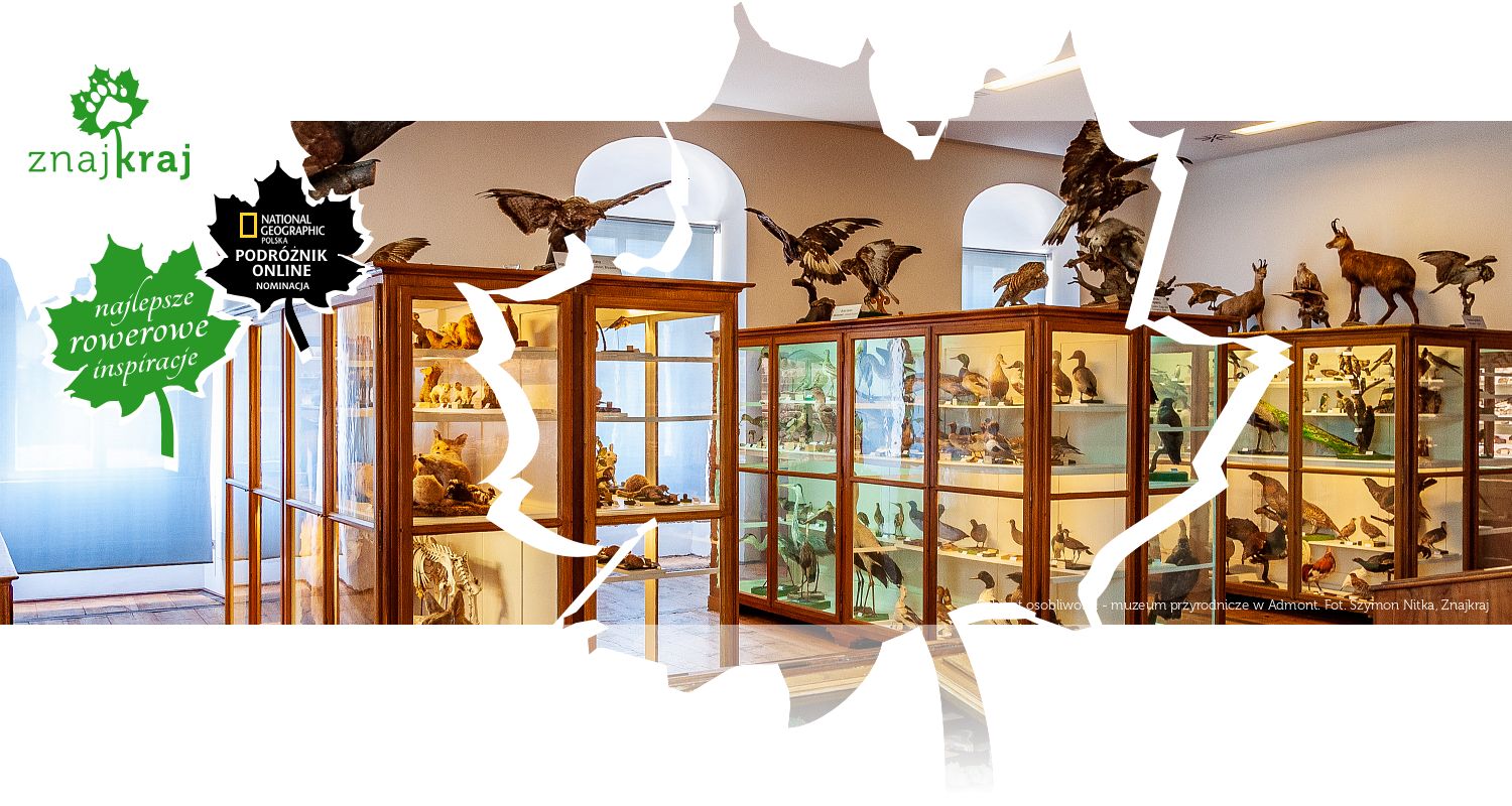 Gabinet osobliwości - muzeum przyrodnicze w Admont