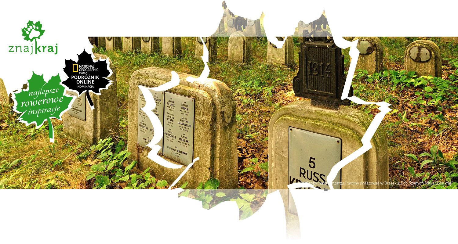 Groby na cmentarzu I wojny światowej w Brzesku