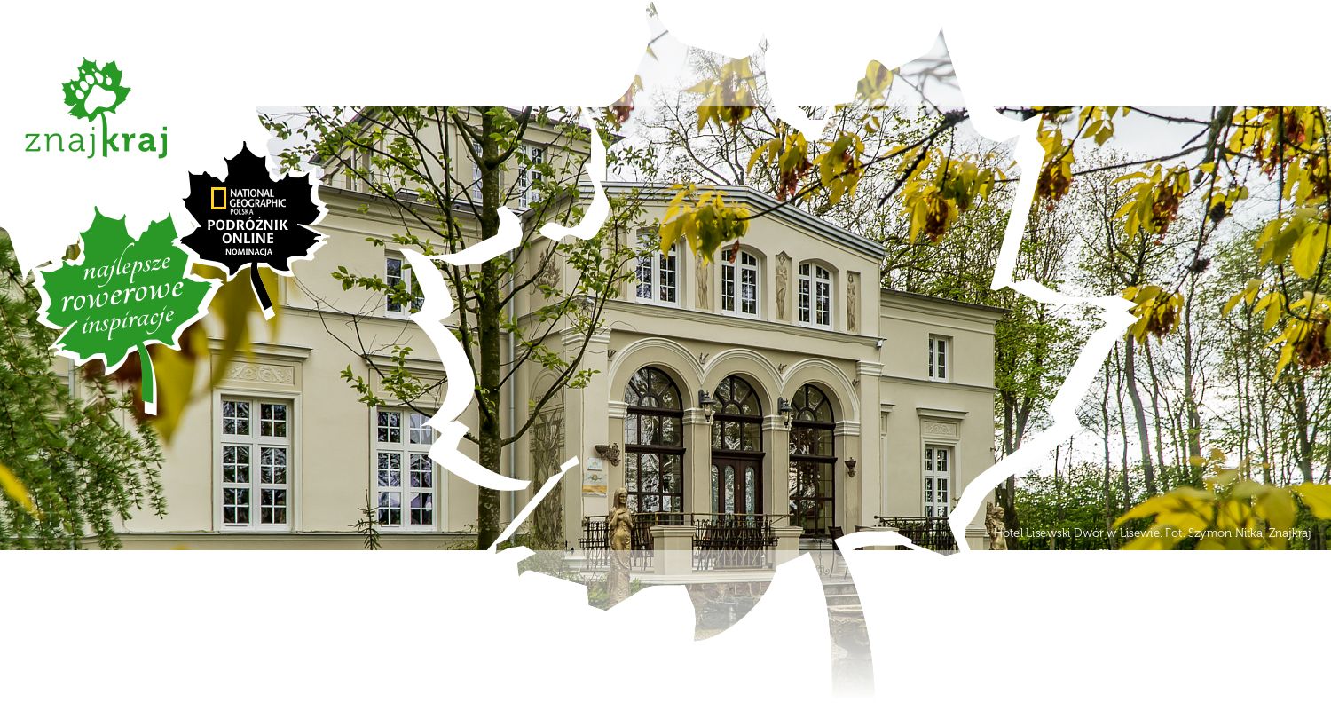 Hotel Lisewski Dwór w Lisewie