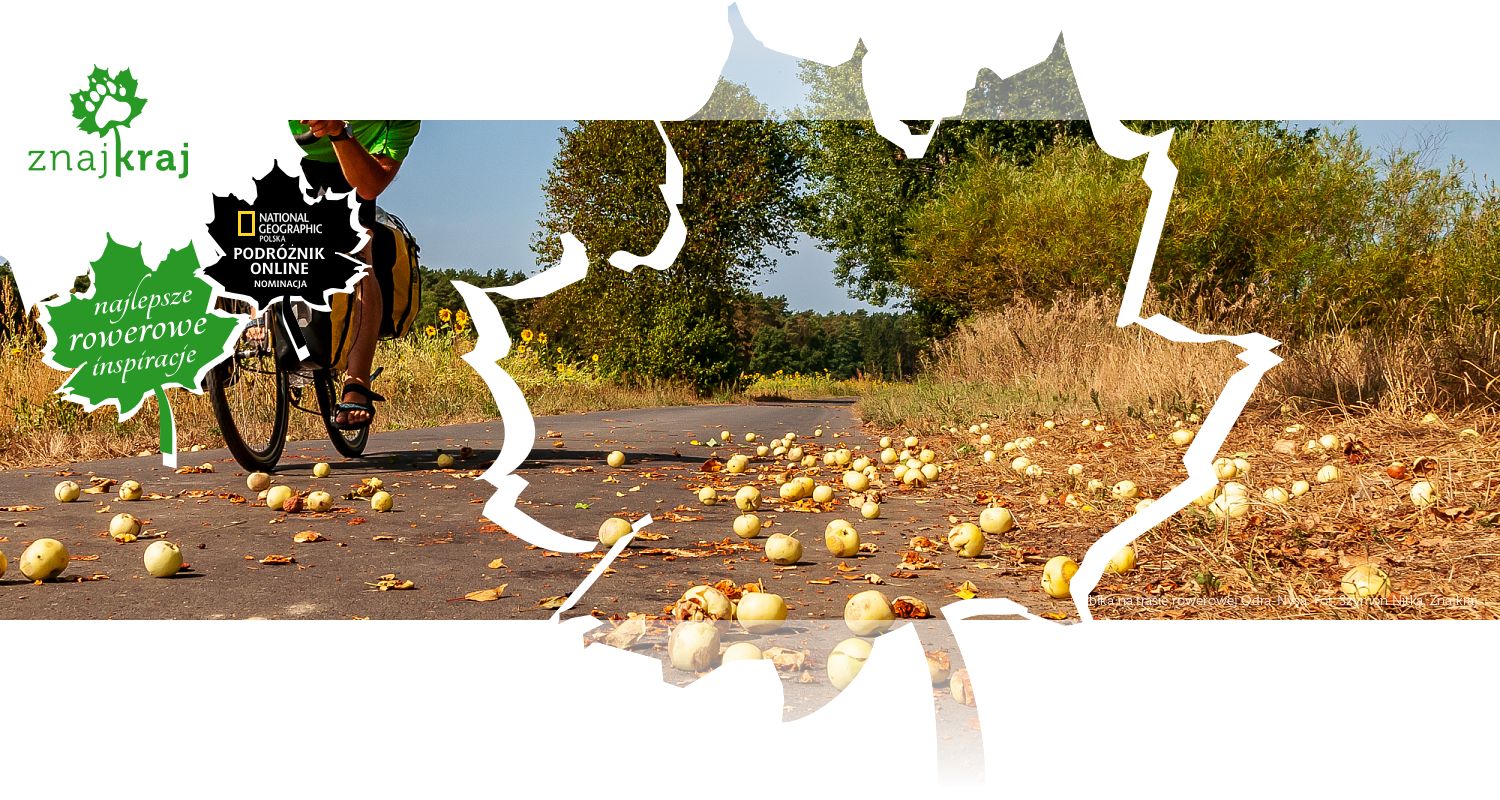 Jabłka na trasie rowerowej Odra-Nysa