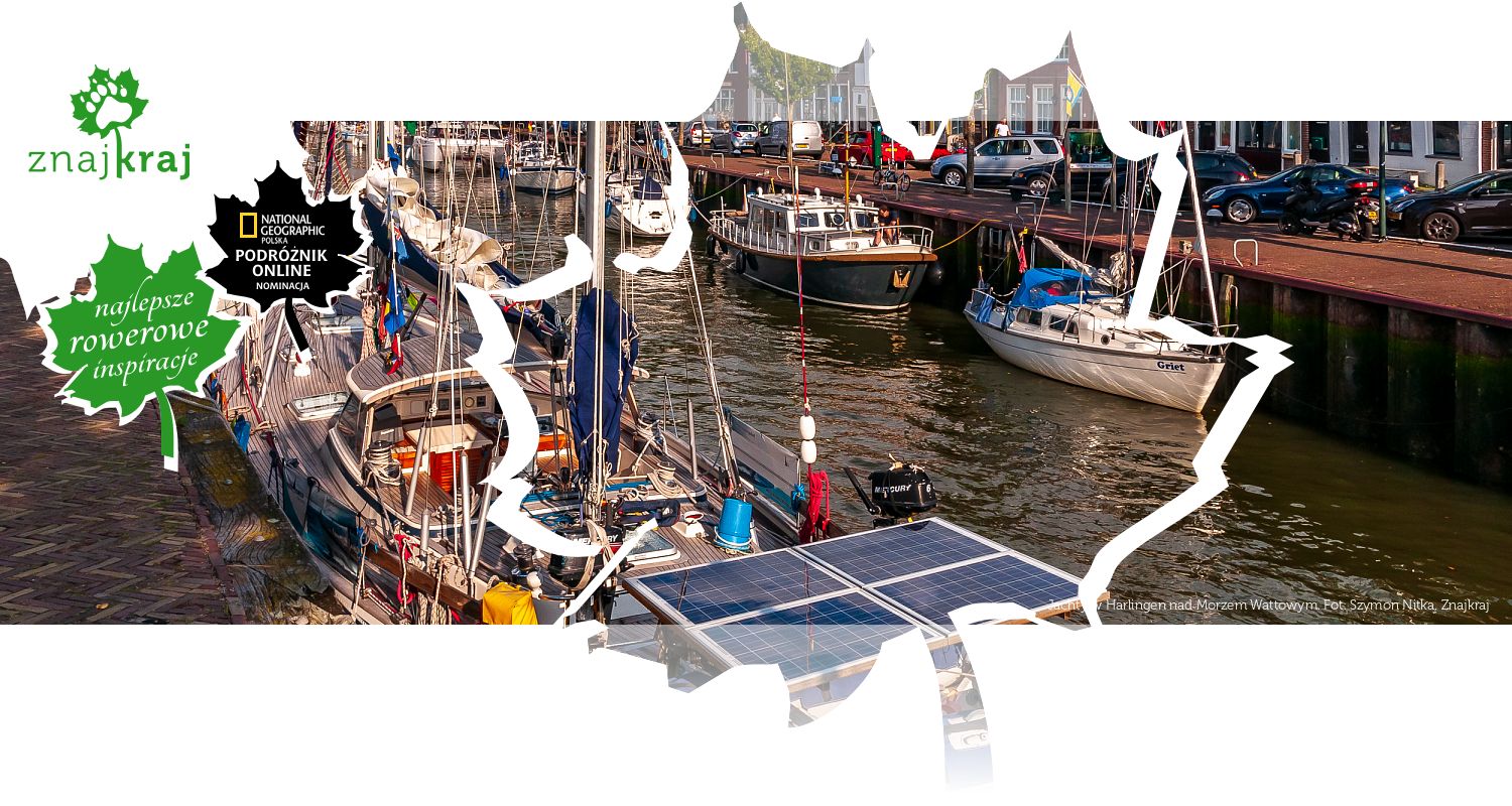 Jachty w Harlingen nad Morzem Wattowym