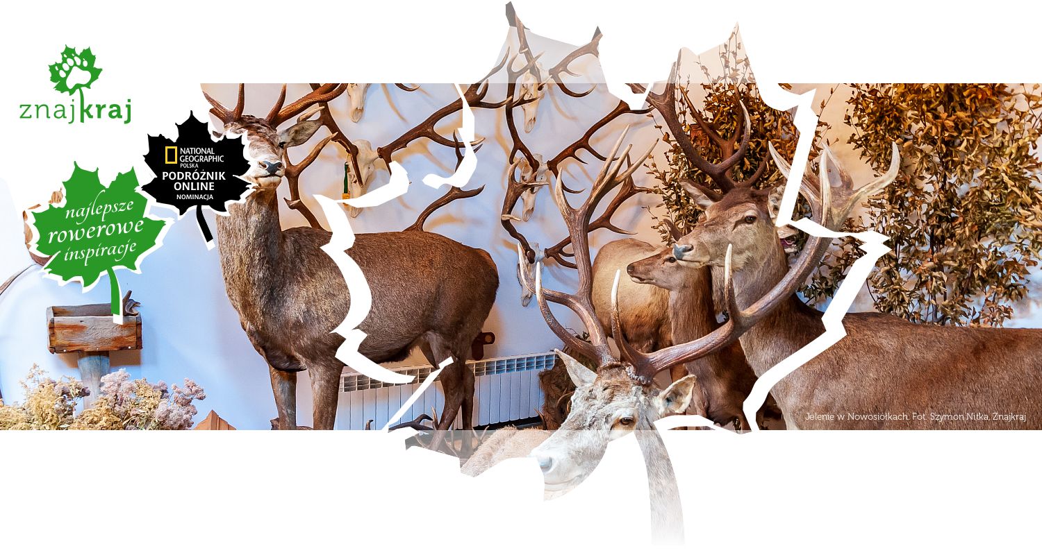 Jelenie w Nowosiółkach