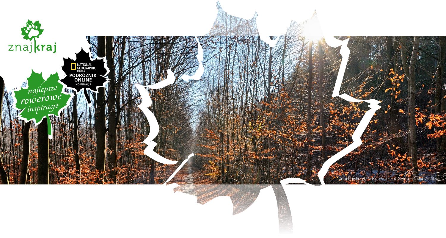 Jesienny korytarz Blue Velo