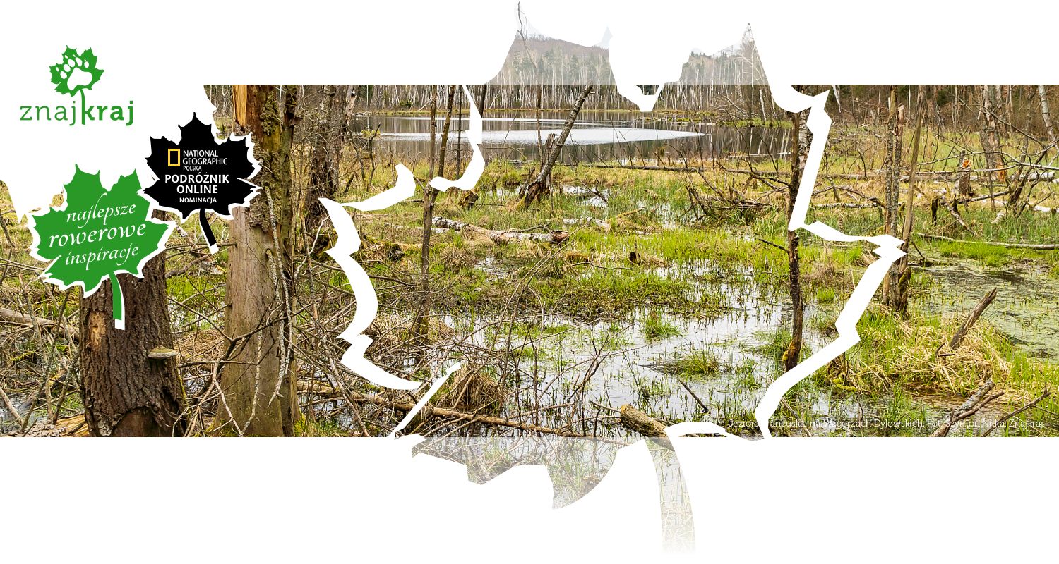 Jezioro Francuskie na Wzgórzach Dylewskich