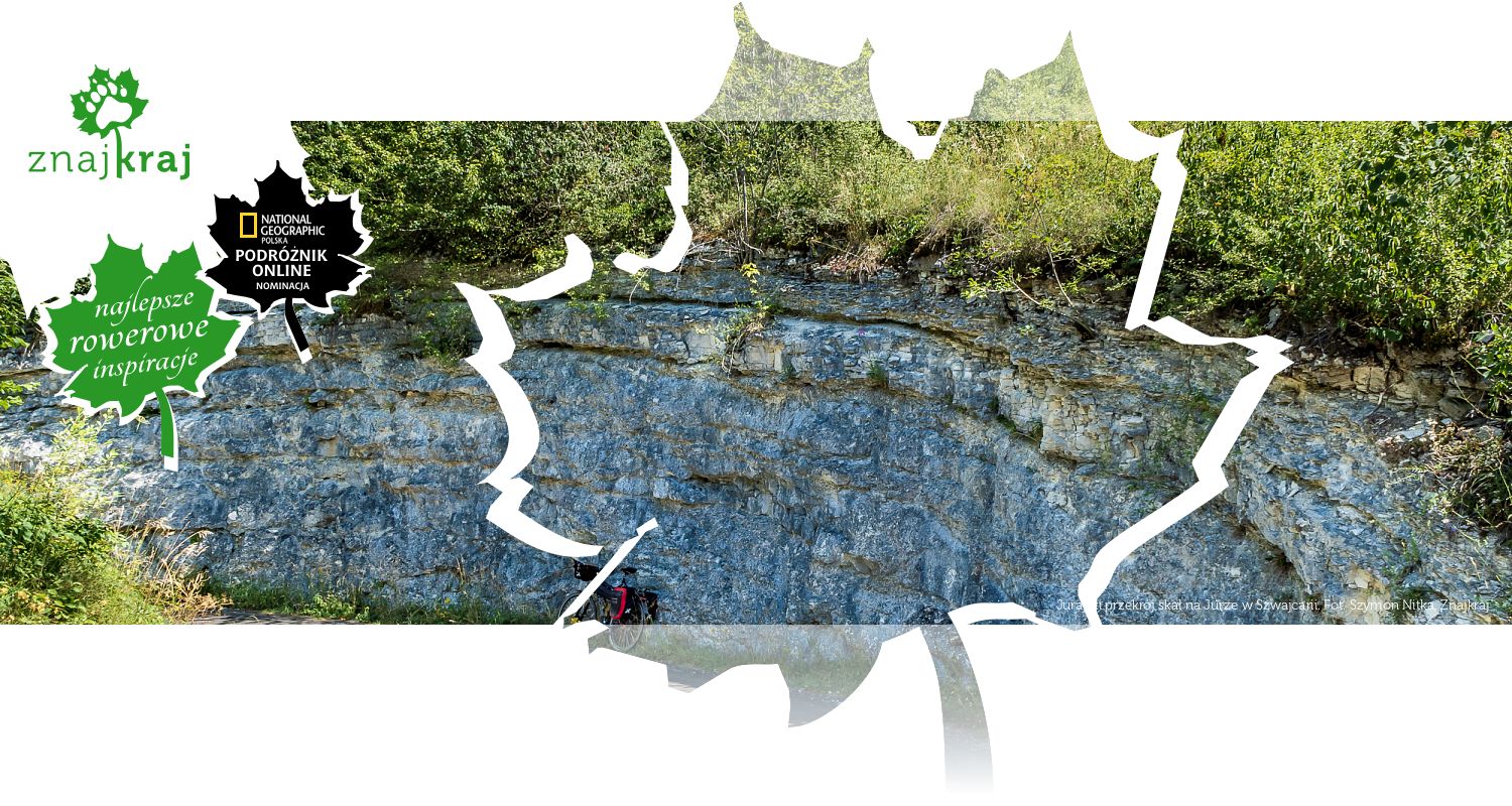 Jurajski przekrój skał na Jurze w Szwajcarii