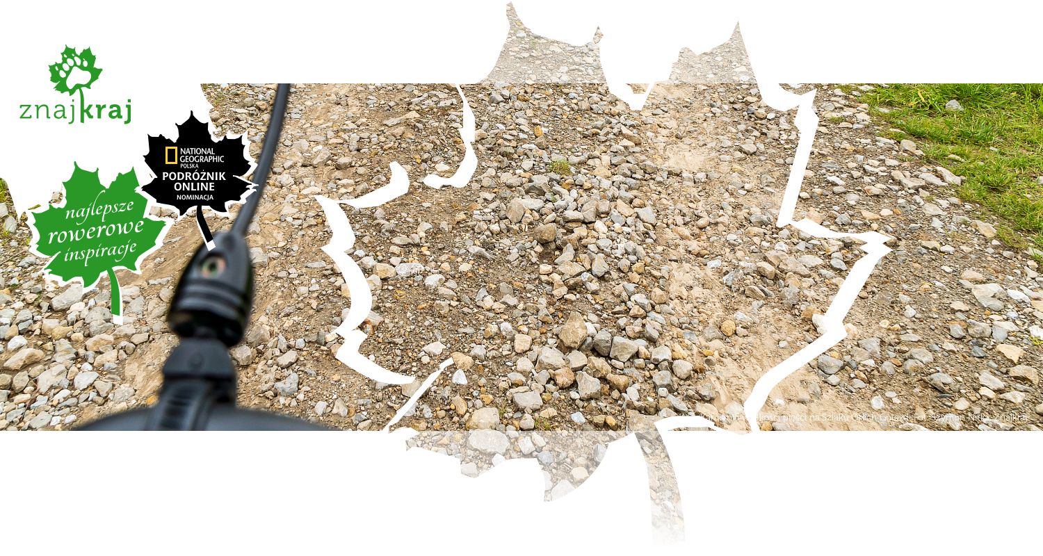 Kamienie wielkości pięści na Szlaku Orlich Gniazd