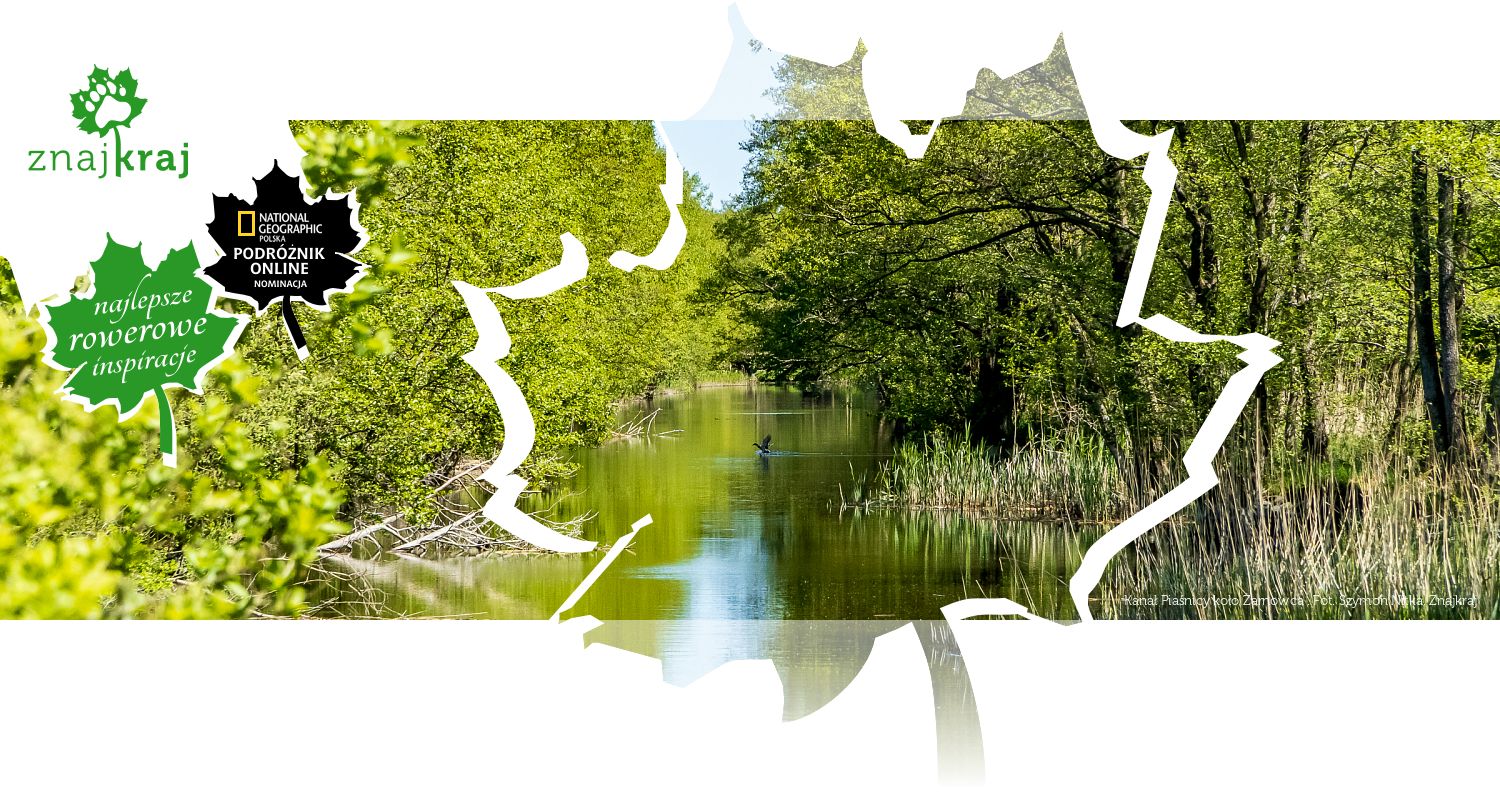 Kanał Piaśnicy koło Żarnowca 