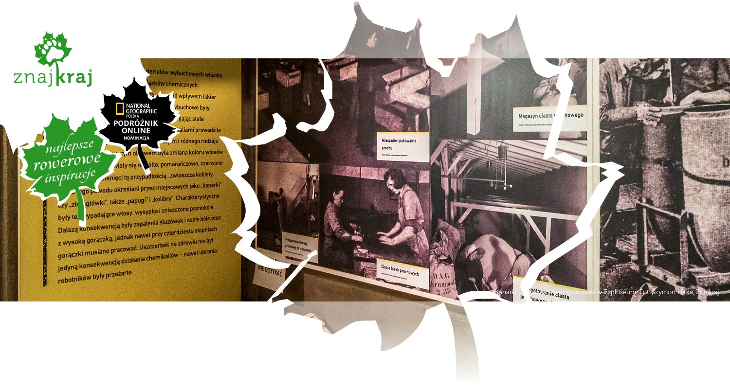 Kanarki - pracownicy przymusowi w Exploseum