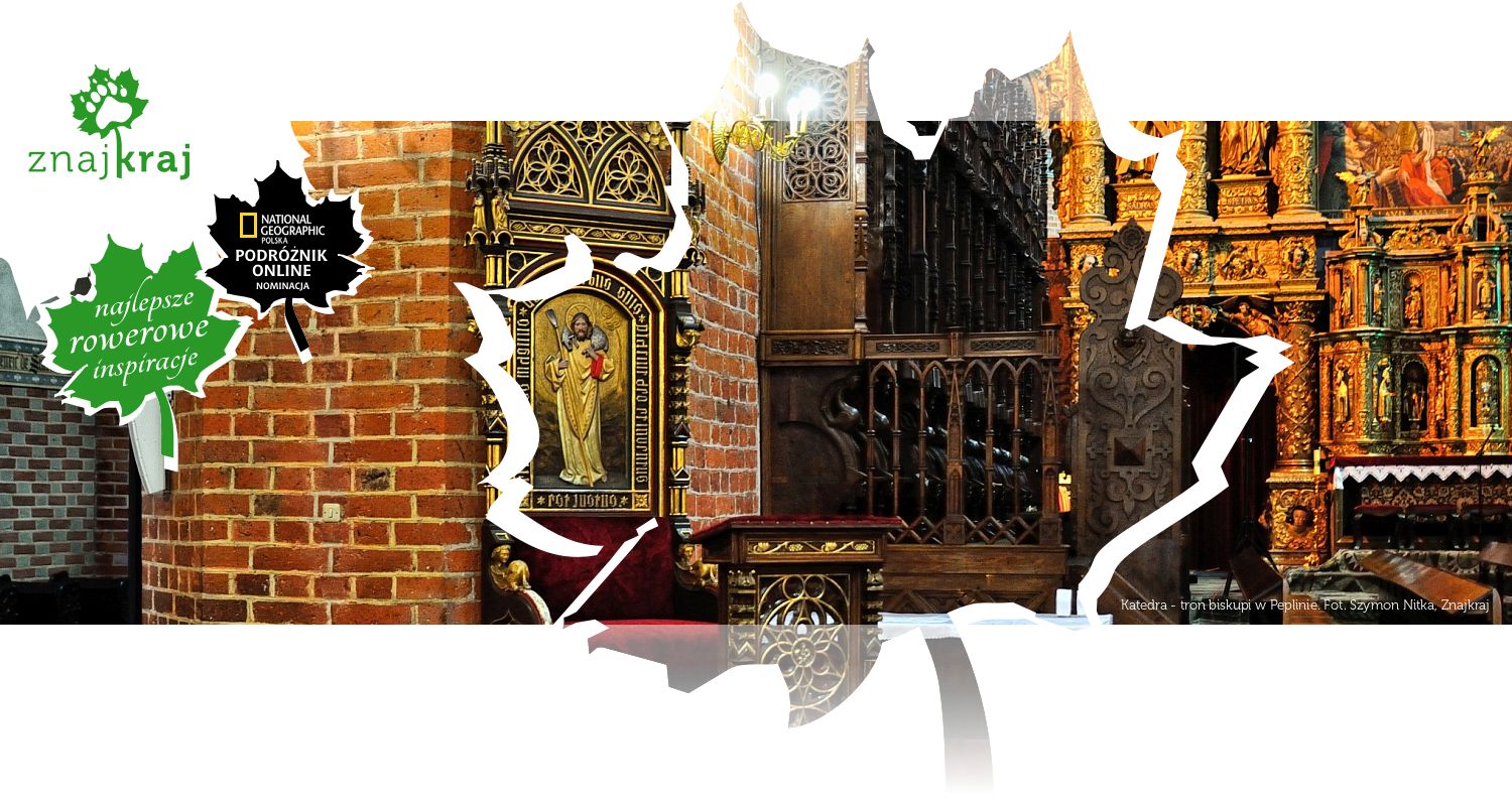 Katedra - tron biskupi w Peplinie