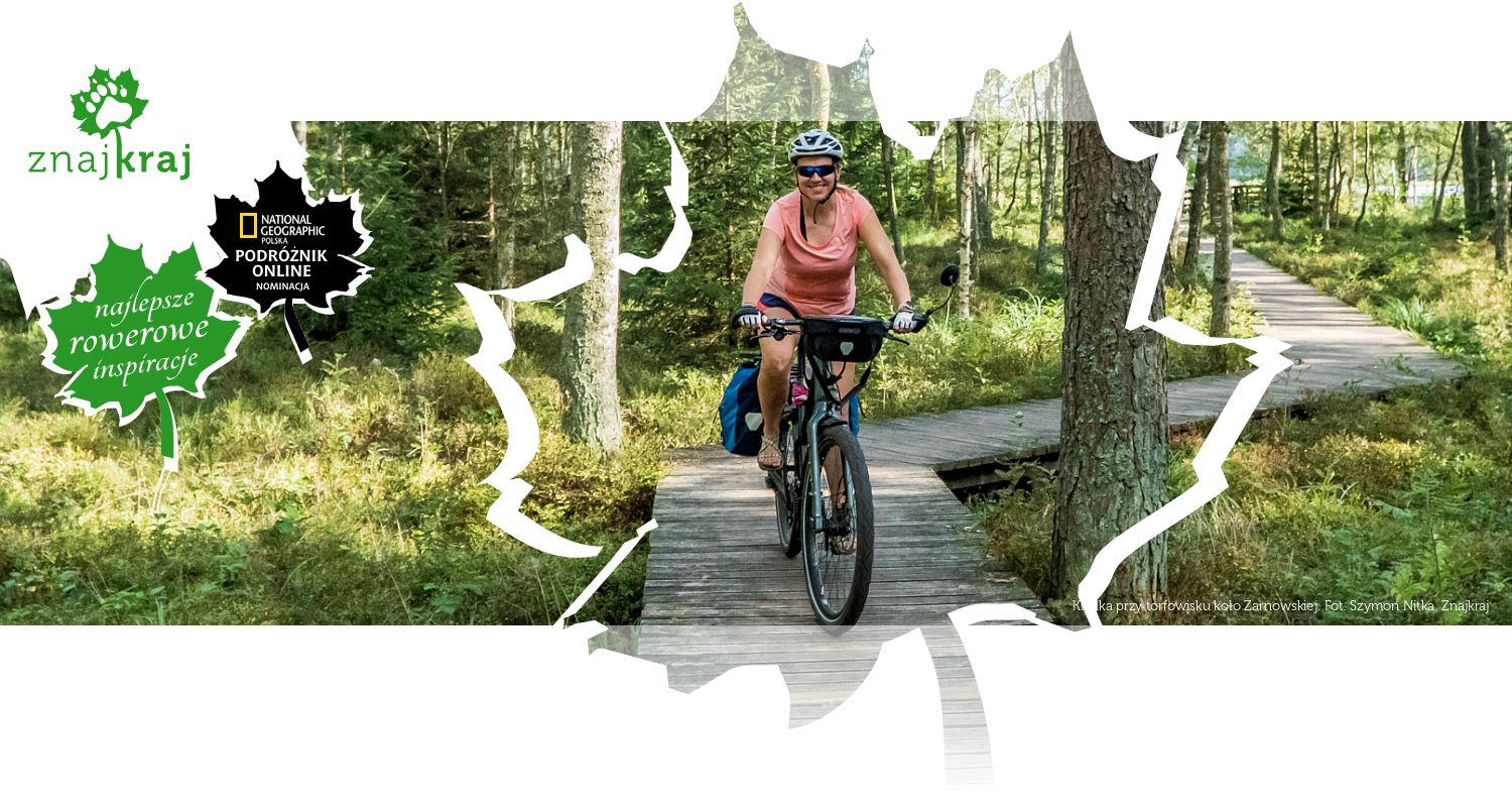 Kładka przy torfowisku koło Żarnowskiej