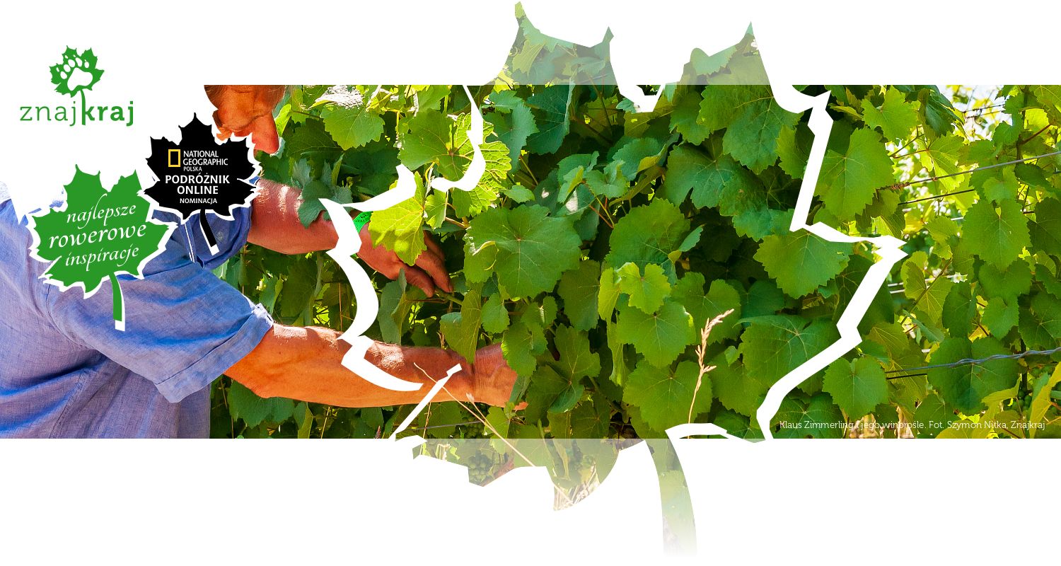 Klaus Zimmerling i jego winorośle