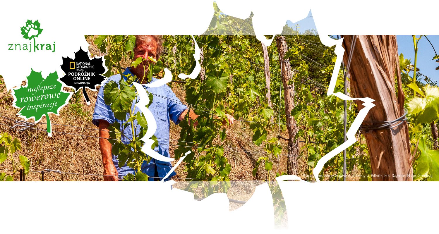 Klaus Zimmerling w swojej winnicy w Pillnitz