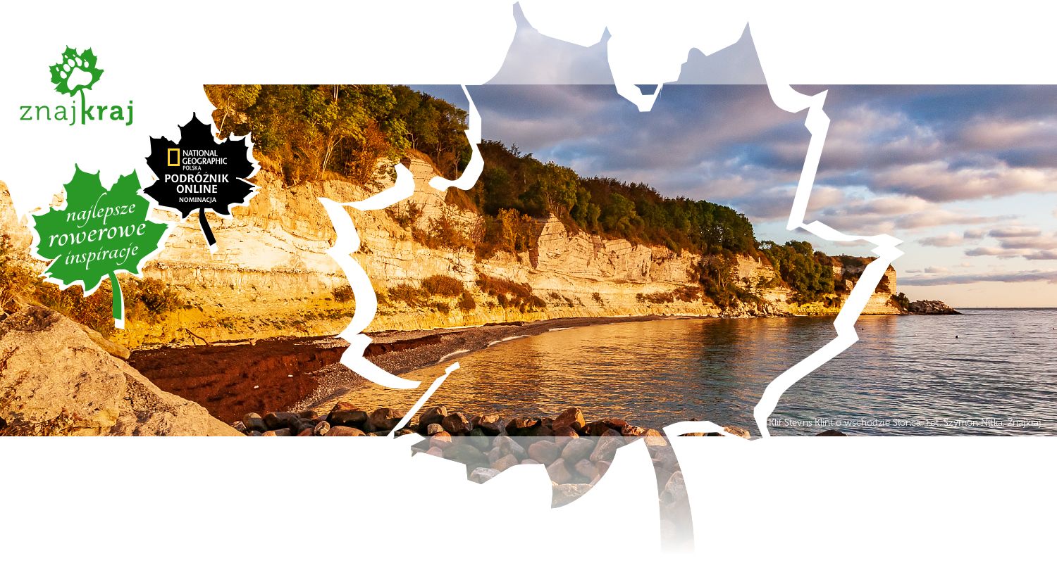 Klif Stevns Klint o wschodzie Słońca