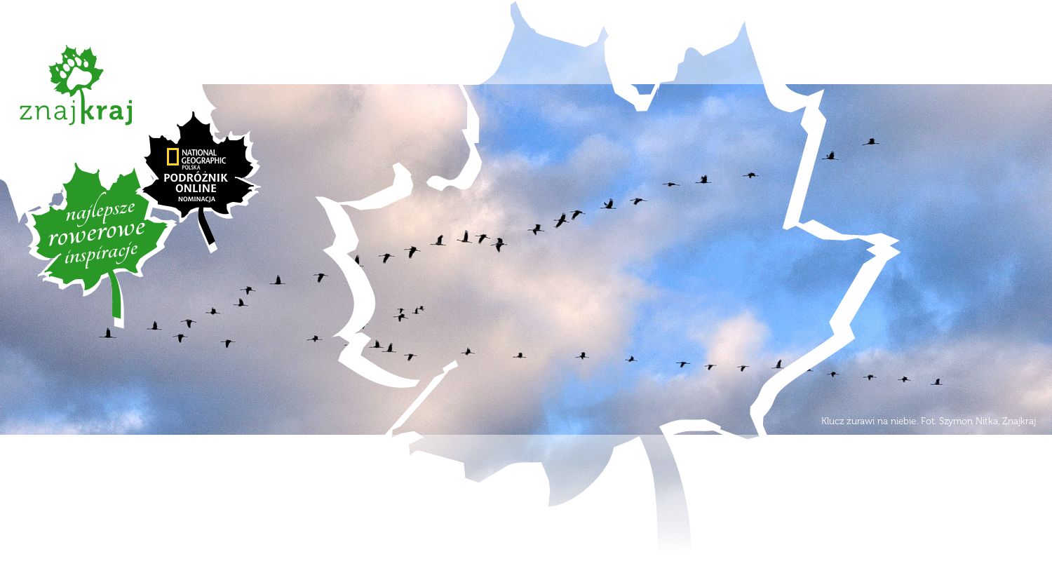 Klucz żurawi na niebie