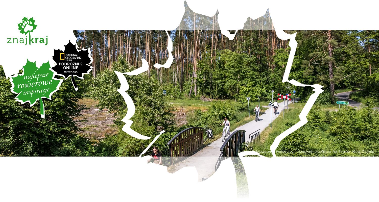 Kolejowe znaki wokół drogi rowerowej koło Milicza