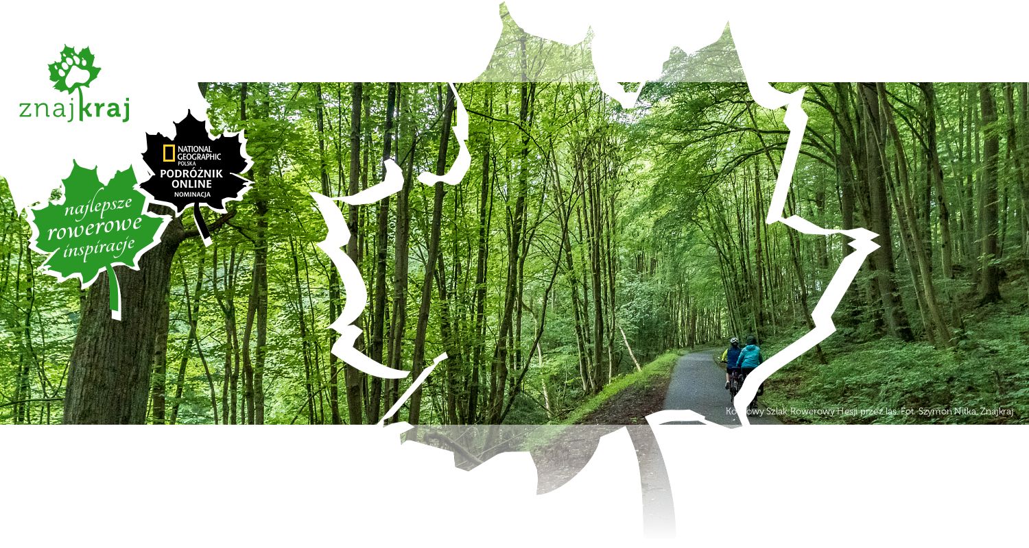 Kolejowy Szlak Rowerowy Hesji przez las