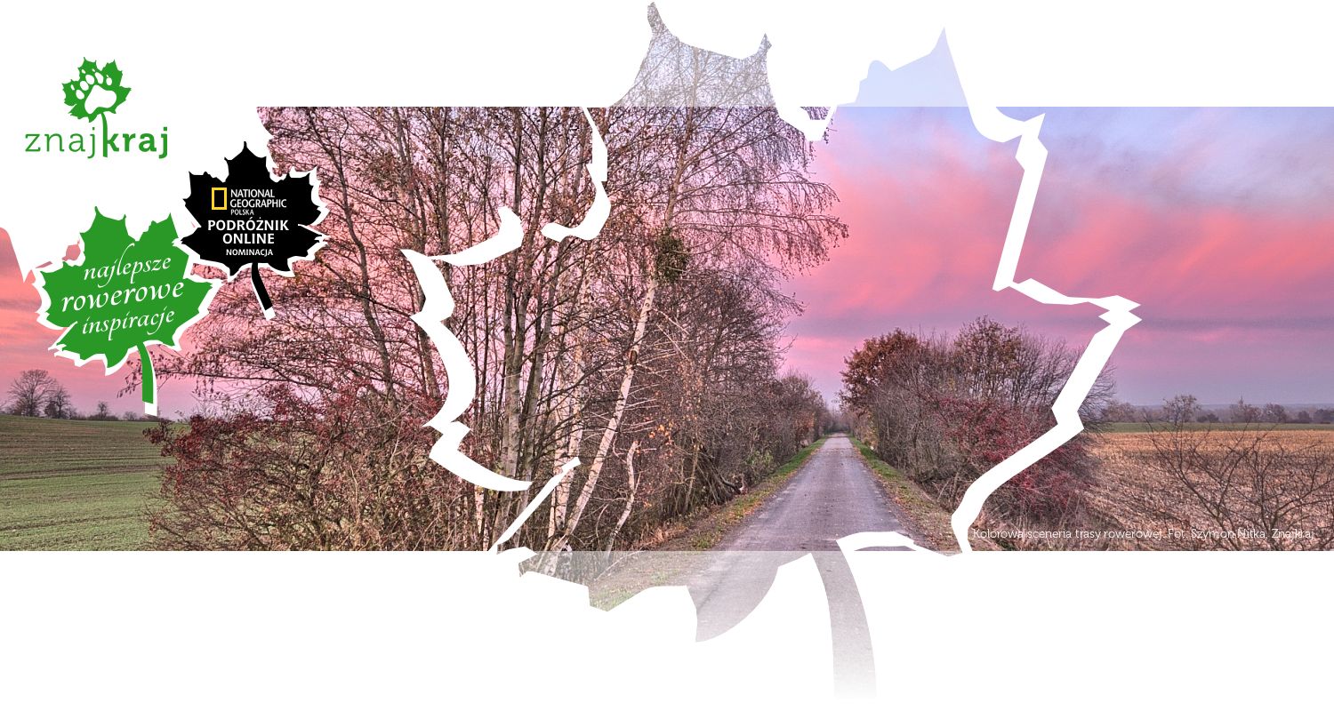 Kolorowa sceneria trasy rowerowej