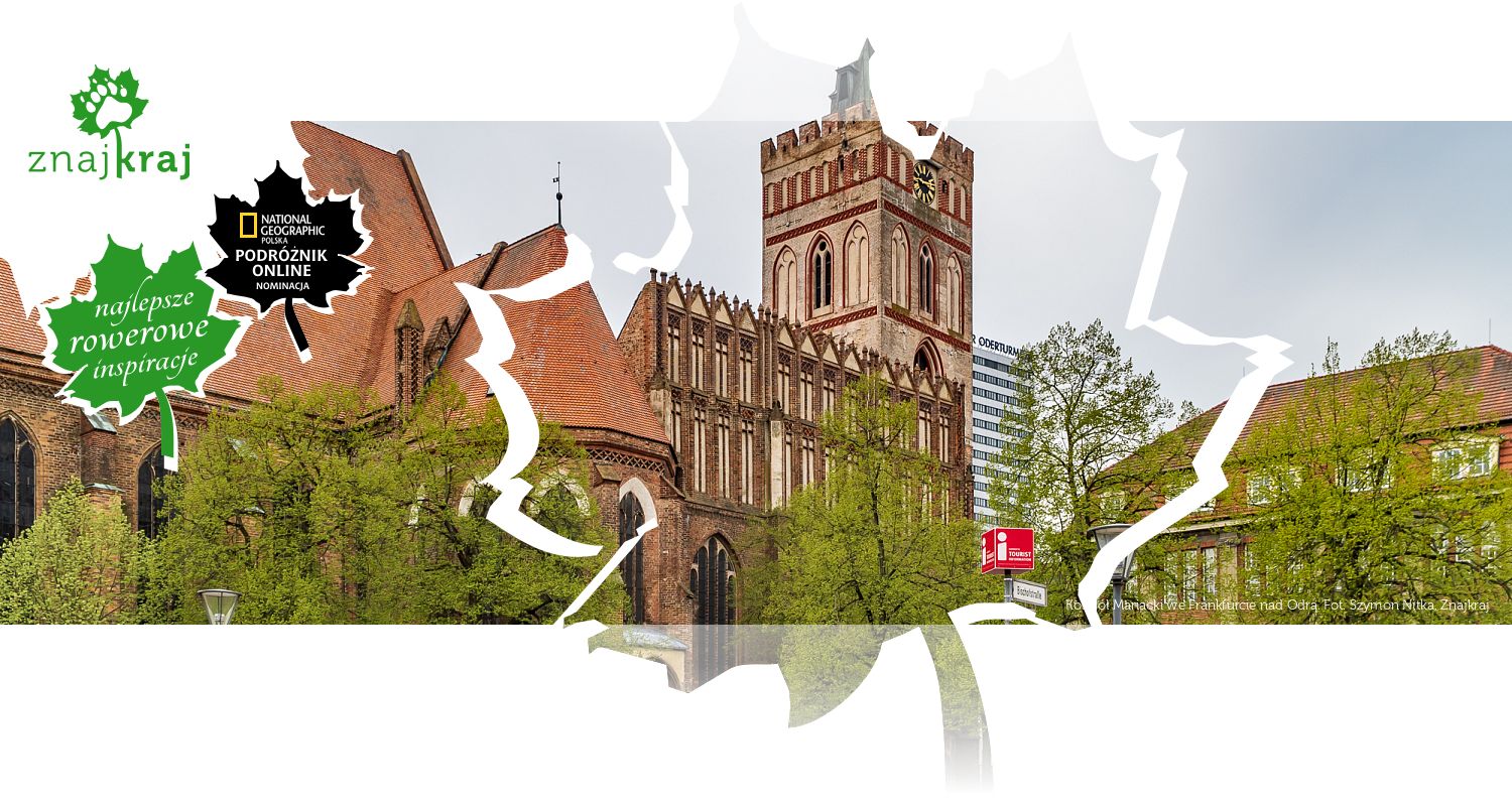 Kościół Mariacki we Frankfurcie nad Odrą