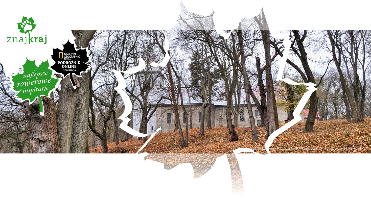 Kościół Niepokalanego Poczęcia NMP w Gozdowicach