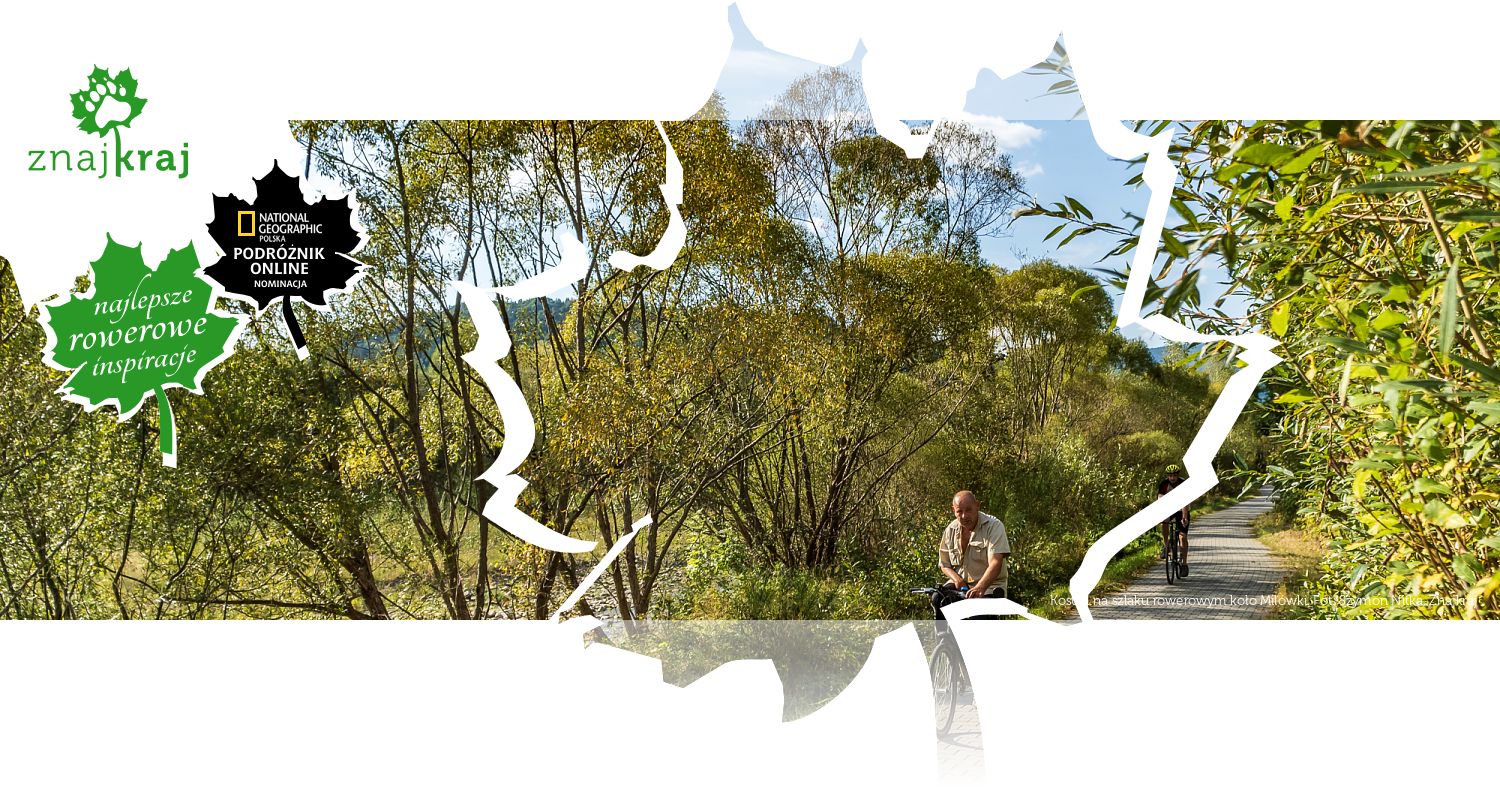 Kostka na szlaku rowerowym koło Milówki