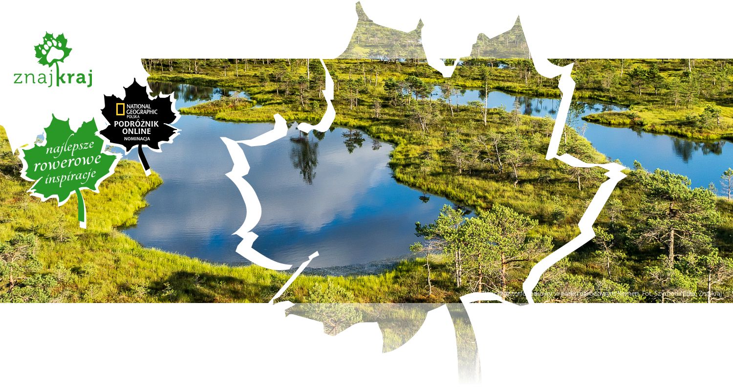 Krajobraz torfowiskowy w parku narodowym Kemeri