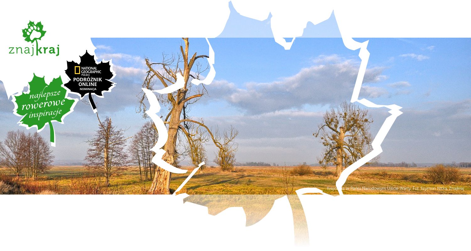 Krajobraz w Parku Narodowym Ujście Warty